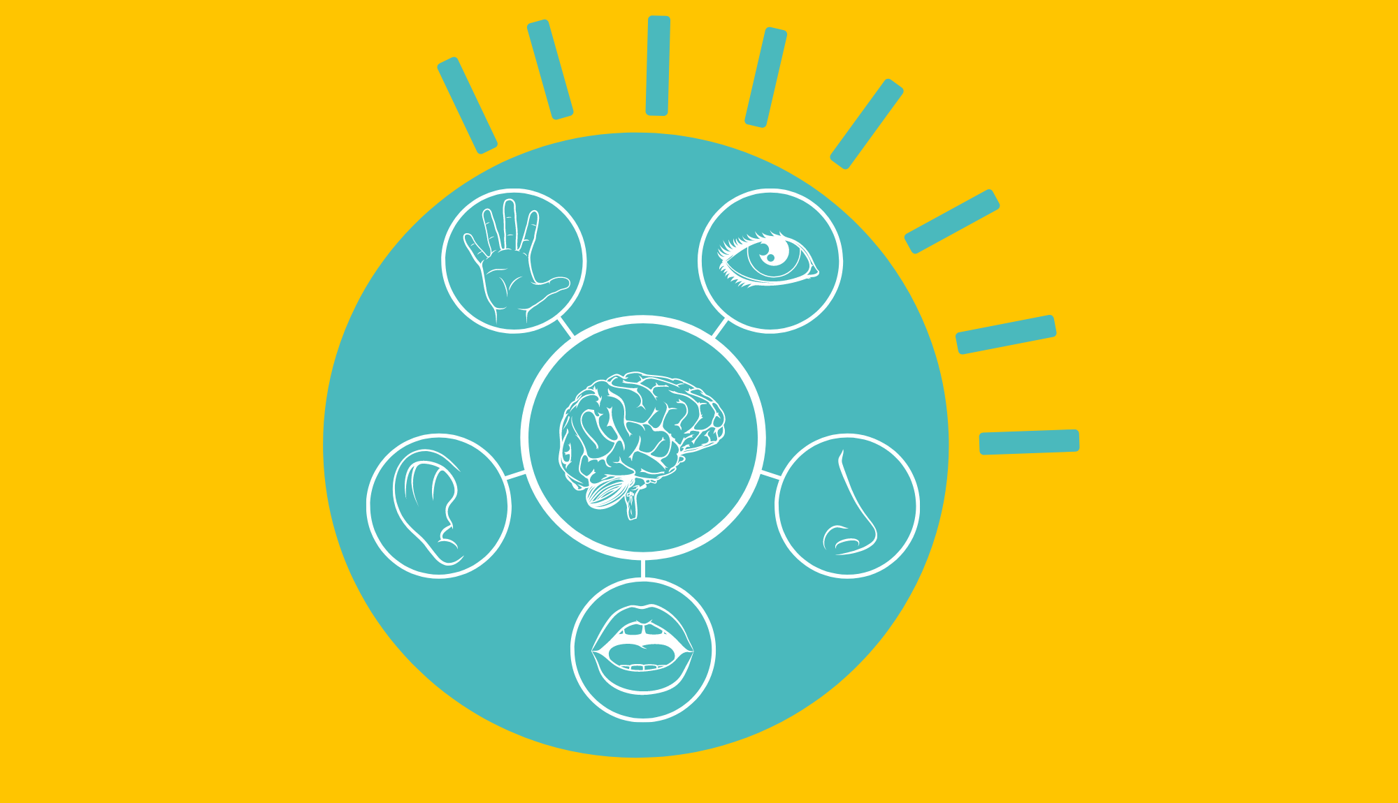 SEO Semântico e a nova Web dos sentidos - Uma introdução