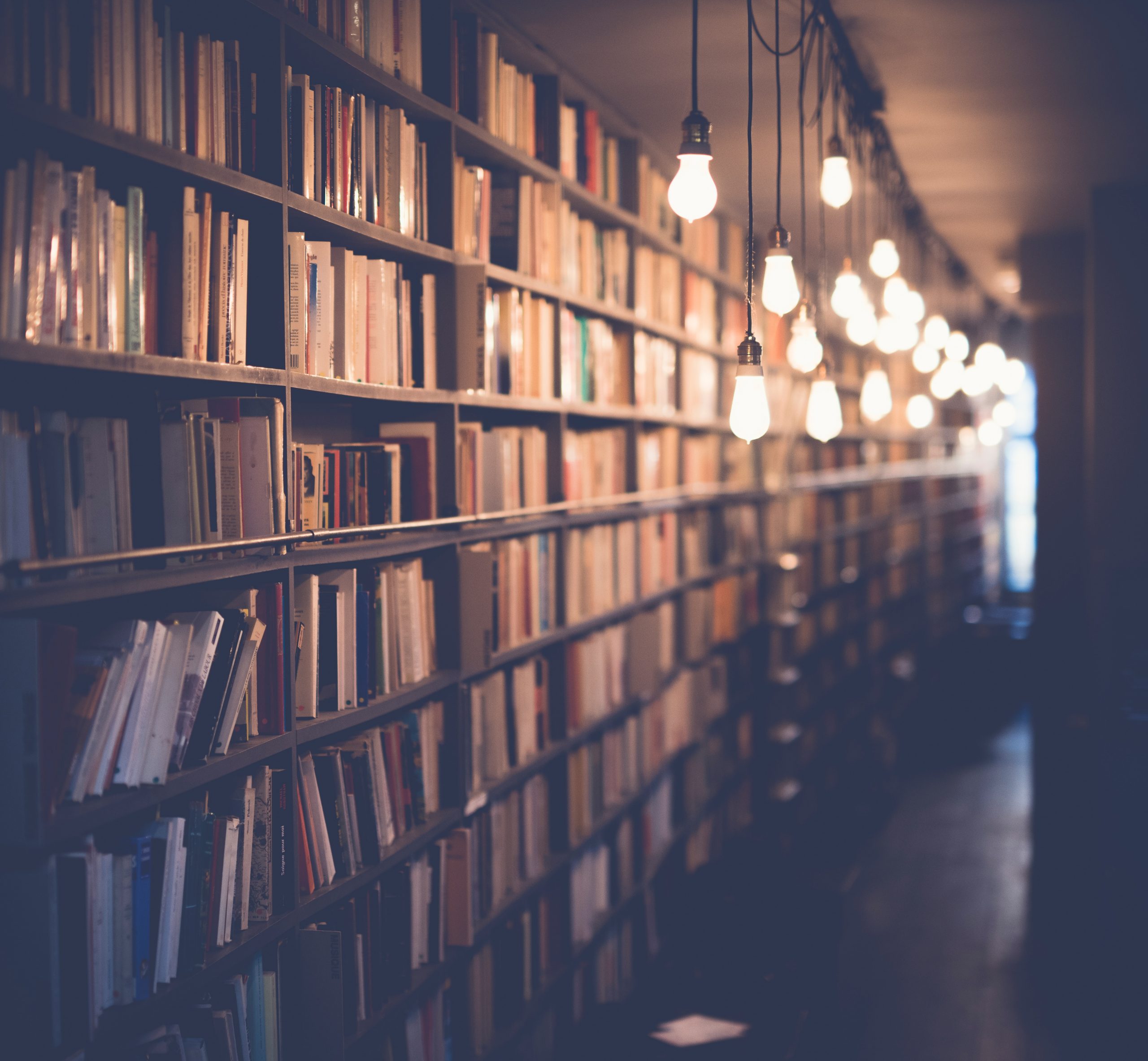 As 5 Leis do SEO 2 library with hanging bulbs stockpack unsplash scaled